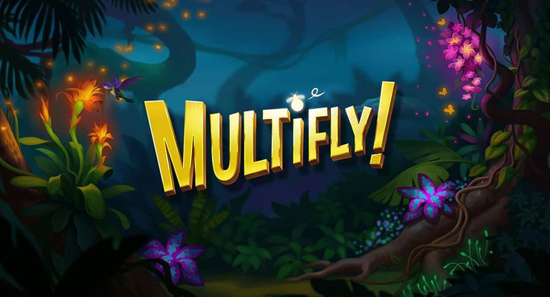 Обзор слота Multifly